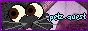 petz quest