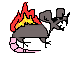 rat on fire